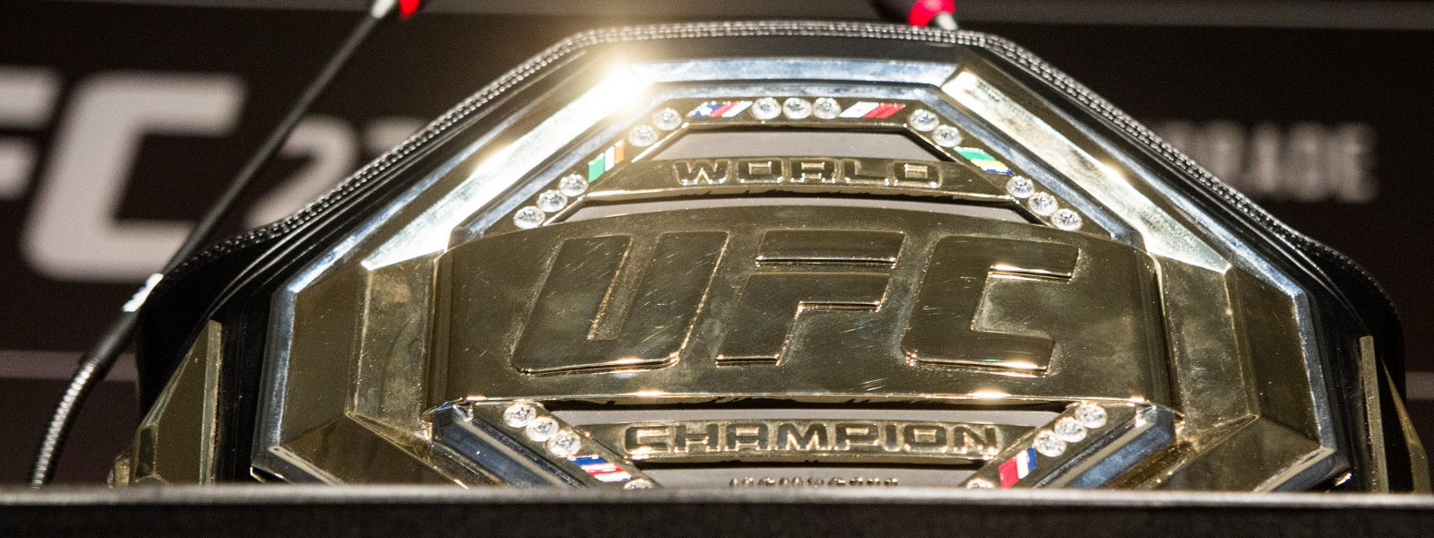 Журнал/Что такое UFC: полное руководство по бойцовскому чемпионату