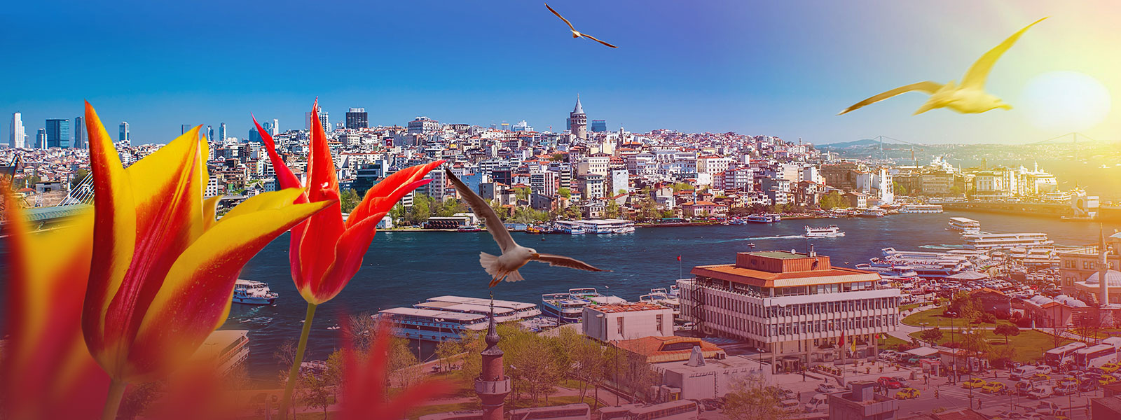 Журнал/15 неожиданных фактов о Стамбуле, после которых город откроется с другой стороны
