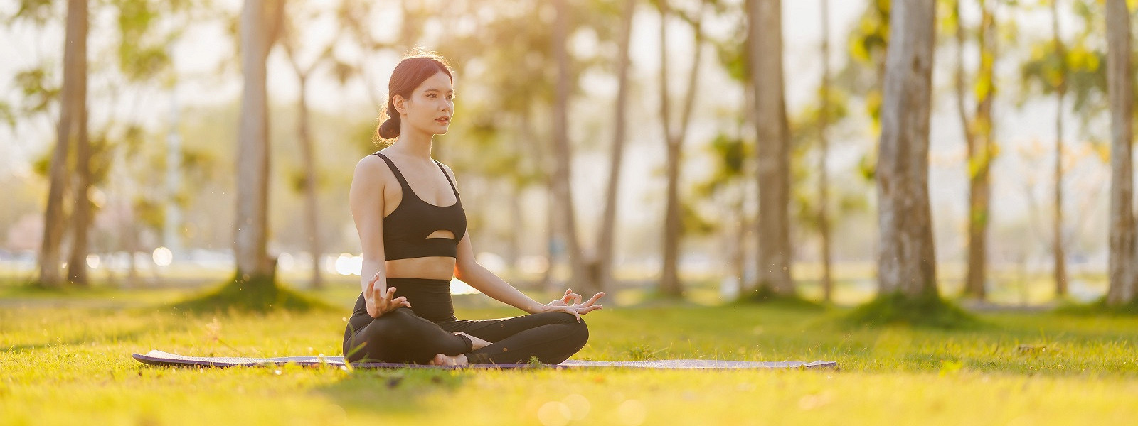 Журнал/Тишина, поле и йога на рассвете: лучшие места для агро-wellness-ретрита в России
