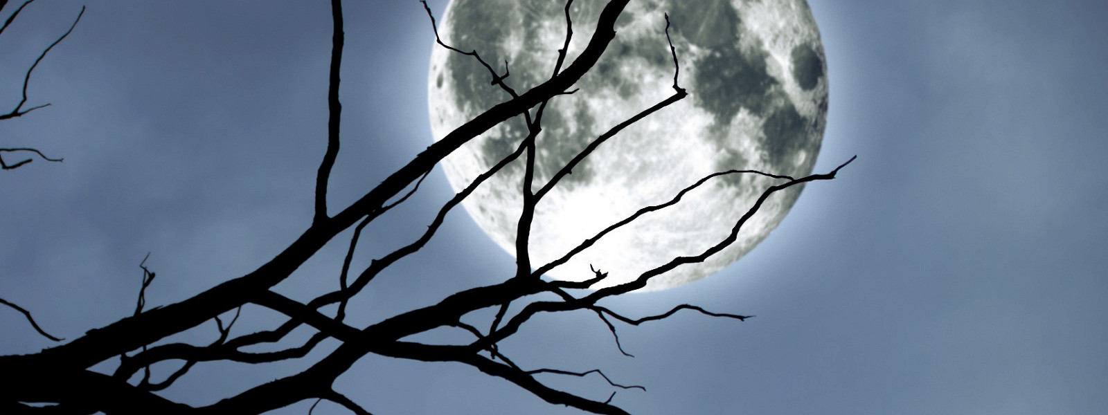 Журнал/Кто первым придумал вампиров — и почему их боялись в Европе еще до Дракулы