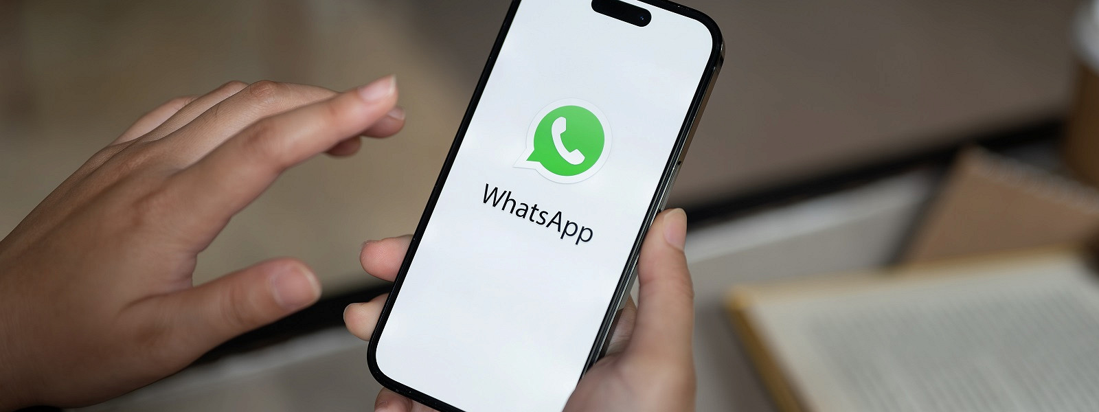 Причины серых галочек в WhatsApp после прочтения сообщения