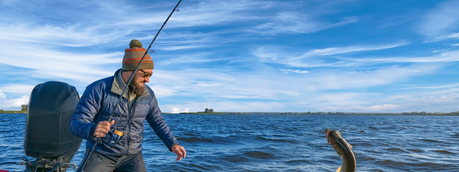 Тестовая статья