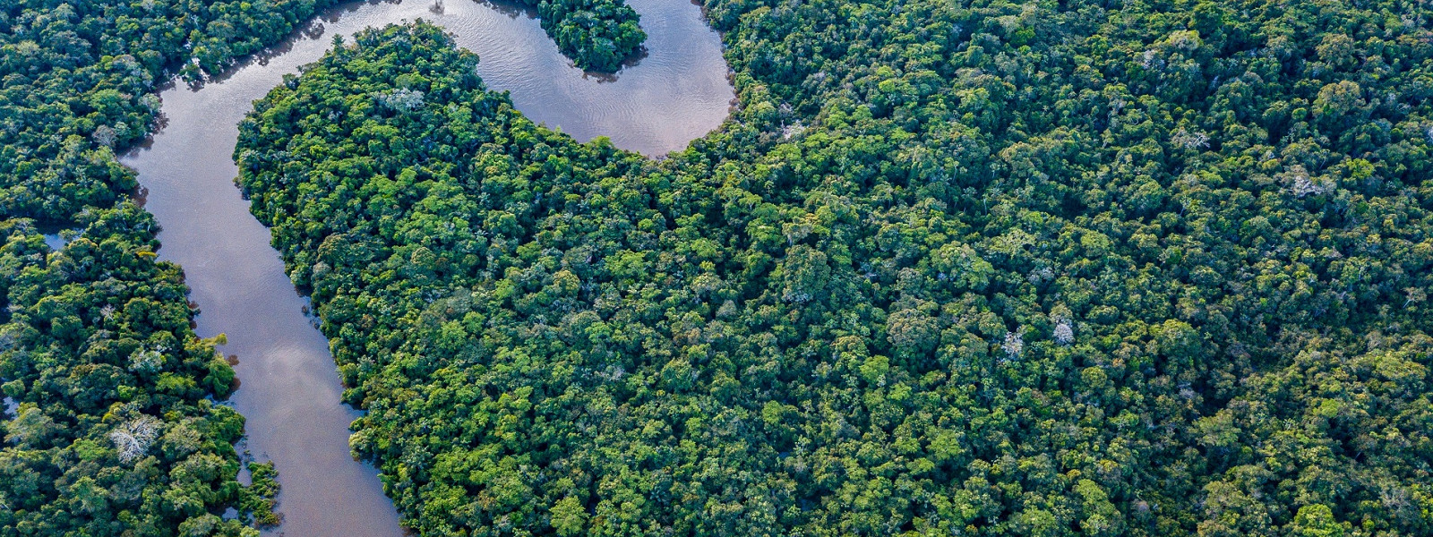 Журнал/Десять внезапных фактов об Амазонке: река-гигант и ее секреты
