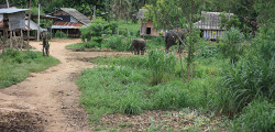 Деревня слонов в Паттайе