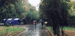 Парк «Липки» в Саратове