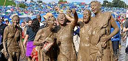 Фестиваль Glastonbury