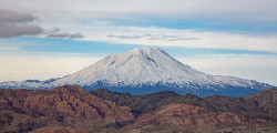 Арарат