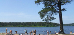 Пляж в Комарово