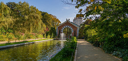 Аптекарский огород
