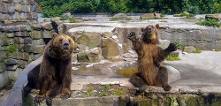 Калининградский зоопарк