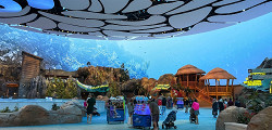 SeaWorld Abu Dhabi