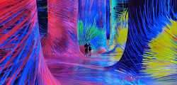 TeamLab Phenomena в Абу-Даби