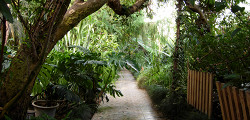 Ботанический сад Уфы