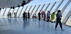 Cмотровая площадка The View at The Palm