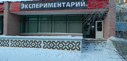 Иркутский экспериментарий