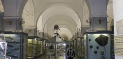 Зоологический музей РАН