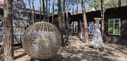 Галерея «Белая лошадь»