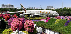 Парк цветов Miracle Garden
