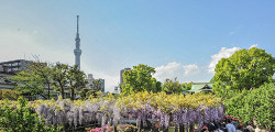 Башня Tokyo Skytree