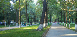 Дубовый парк Бишкека