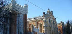 Дворцовые конюшни Петергофа