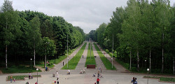 Реадовский лесопарк