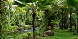 Ботанический сад Пхукета