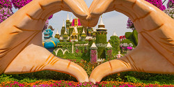 Парк цветов Miracle Garden
