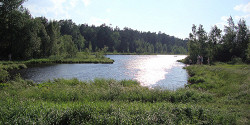 Озёрный лесопарк