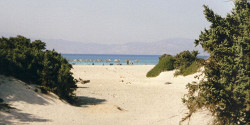 Пляж Хрисси