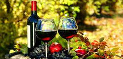 Фестиваль вина «Ноябрьфест»