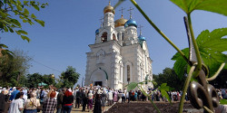 Покровский кафедральный собор Владивостока