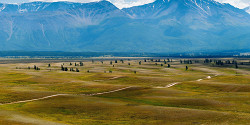 Курайская степь