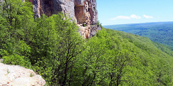 Орлиная полка