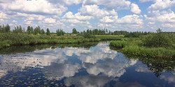 Полистовский заповедник