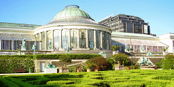 Ботанический сад Брюсселя