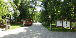 Чистяковская роща