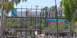 Зоопарк Лос-Анджелеса