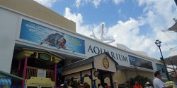 Интерактивный аквариум в Канкуне