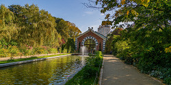 Аптекарский огород