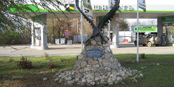 Самарский зоопарк