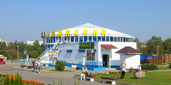 Дельфинарий в Минске