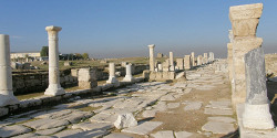 Лаодикея