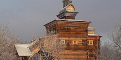 Дубовая роща в Коломенском