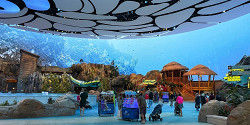 SeaWorld Abu Dhabi