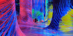 TeamLab Phenomena в Абу-Даби