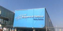 Аквариум Генуи