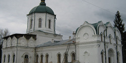 Толшевский Спасо-Преображенский монастырь в Воронеже