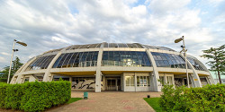 Дельфинарий в Батуми