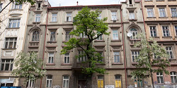 Нове Место
